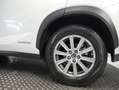Lexus NX 300 2.5 300h Business Navigation 2WD Blanc - thumbnail 14