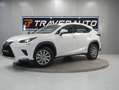 Lexus NX 300 2.5 300h Business Navigation 2WD Blanc - thumbnail 10