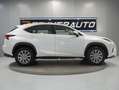 Lexus NX 300 2.5 300h Business Navigation 2WD Blanc - thumbnail 3