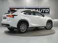 Lexus NX 300 2.5 300h Business Navigation 2WD Blanc - thumbnail 11