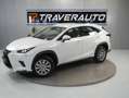 Lexus NX 300 2.5 300h Business Navigation 2WD Blanc - thumbnail 13
