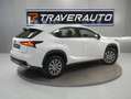 Lexus NX 300 2.5 300h Business Navigation 2WD Blanc - thumbnail 12