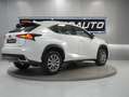 Lexus NX 300 2.5 300h Business Navigation 2WD Blanc - thumbnail 4