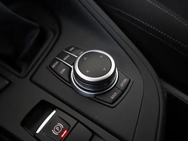 BMW X1 view 12