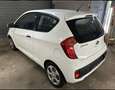 Kia Picanto 1.0 Dream Team Edition industrielles LPG - thumbnail 4