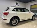 Audi Q5 2.0 tdi Advanced Plus quattro 177cv s-tronic - thumbnail 4