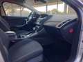 Ford Focus III AUTOCARRO SW 2.0 tdci Titanium115cv powershift Silber - thumbnail 12