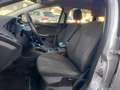 Ford Focus III AUTOCARRO SW 2.0 tdci Titanium115cv powershift Silber - thumbnail 10