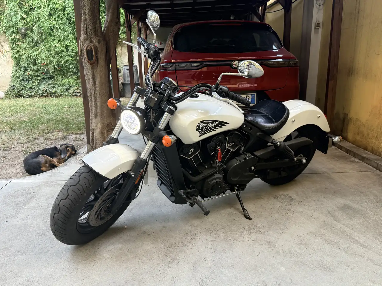 Indian Scout
