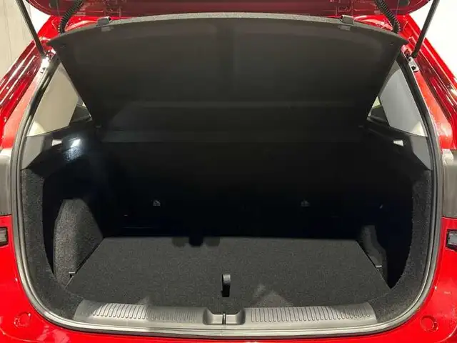 MG ZS view 7