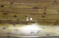 Volvo XC60 2.0 T8 AWD Inscription Auto Negro - thumbnail 15