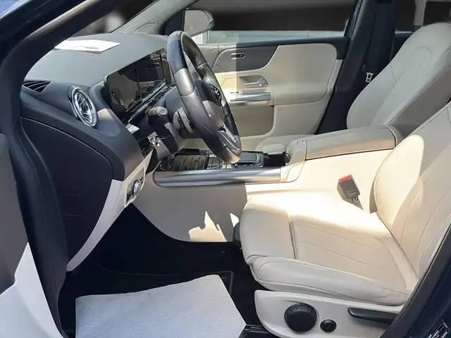 Mercedes-Benz 250 view 14