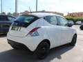 Lancia Ypsilon 1.0 firefly hybrid Silver S&S Bianco - thumbnail 4