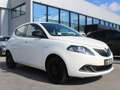 Lancia Ypsilon 1.0 firefly hybrid Silver S&S Bianco - thumbnail 1