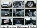 Volkswagen T-Cross 1.0 TSI Goal DSG*ALU*SHZ*AHK*NAVI*KAMERA Grau - thumbnail 6