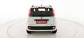 Fiat Panda 1.2 EasyPower Lounge - OK NEOPATENTATO Bianco - thumbnail 7