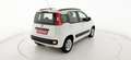 Fiat Panda 1.2 EasyPower Lounge - OK NEOPATENTATO Bianco - thumbnail 8