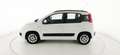 Fiat Panda 1.2 EasyPower Lounge - OK NEOPATENTATO Bianco - thumbnail 5