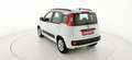 Fiat Panda 1.2 EasyPower Lounge - OK NEOPATENTATO Bianco - thumbnail 6