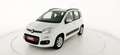 Fiat Panda 1.2 EasyPower Lounge - OK NEOPATENTATO Bianco - thumbnail 3