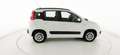 Fiat Panda 1.2 EasyPower Lounge - OK NEOPATENTATO Bianco - thumbnail 9