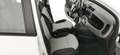 Fiat Panda 1.2 EasyPower Lounge - OK NEOPATENTATO Bianco - thumbnail 14
