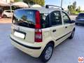Fiat Panda 1.2 Dynamic eco Gelb - thumbnail 5
