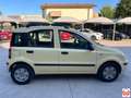 Fiat Panda 1.2 Dynamic eco Gelb - thumbnail 6