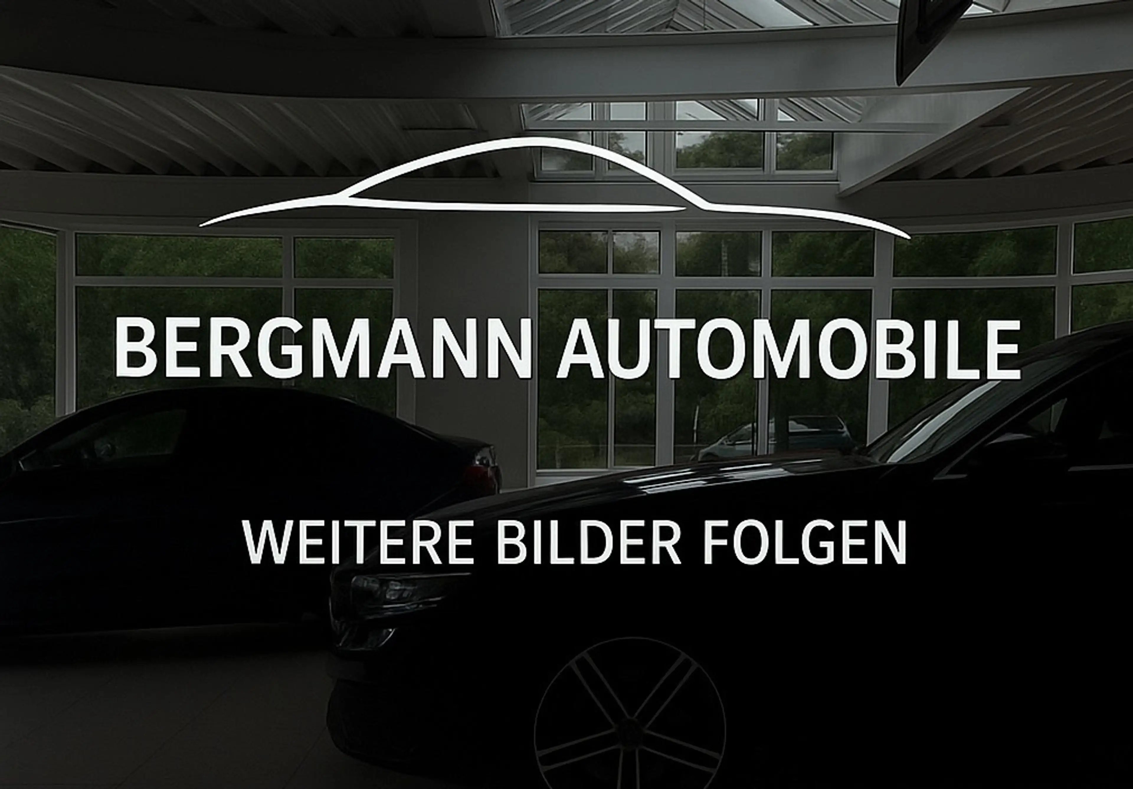 Ford Galaxy Titanium 7-Sitzer Kamera Keyless SHZ Navi — photo 2