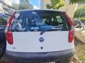 Fiat Punto 60 SX - thumbnail 5