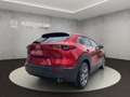 Mazda CX-30 EXCLUSIVE 186 PS AWD +ALLRAD+MATRIX-LED+BOSE+ Rot - thumbnail 5