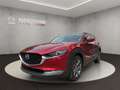 Mazda CX-30 EXCLUSIVE 186 PS AWD +ALLRAD+MATRIX-LED+BOSE+ Rot - thumbnail 1