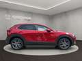 Mazda CX-30 EXCLUSIVE 186 PS AWD +ALLRAD+MATRIX-LED+BOSE+ Rot - thumbnail 6