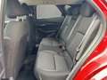 Mazda CX-30 EXCLUSIVE 186 PS AWD +ALLRAD+MATRIX-LED+BOSE+ Rot - thumbnail 12