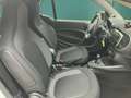 smart forTwo fortwo EQ 22-KW+PASSION+SITZHEIZUNG+TEMPOMAT+EPH Weiß - thumbnail 12