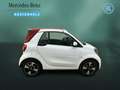 smart forTwo fortwo EQ 22-KW+PASSION+SITZHEIZUNG+TEMPOMAT+EPH Weiß - thumbnail 4