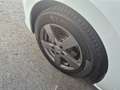 Volkswagen Golf Sportsvan Golf Sportsvan Sky 1,6 BMT TDI Sky Weiß - thumbnail 26