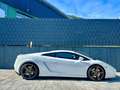Lamborghini Gallardo V10 E-GEAR-LIFT-EINZELSTÜCK-DEUTSCH Blanc - thumbnail 14