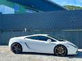 Lamborghini Gallardo V10 E-GEAR-LIFT-EINZELSTÜCK-DEUTSCH Blanc - thumbnail 18