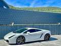 Lamborghini Gallardo V10 E-GEAR-LIFT-EINZELSTÜCK-DEUTSCH Blanc - thumbnail 1