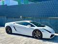 Lamborghini Gallardo V10 E-GEAR-LIFT-EINZELSTÜCK-DEUTSCH Blanc - thumbnail 15
