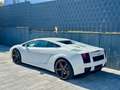 Lamborghini Gallardo V10 E-GEAR-LIFT-EINZELSTÜCK-DEUTSCH Blanc - thumbnail 12