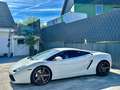 Lamborghini Gallardo V10 E-GEAR-LIFT-EINZELSTÜCK-DEUTSCH Blanc - thumbnail 3