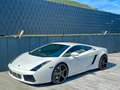 Lamborghini Gallardo V10 E-GEAR-LIFT-EINZELSTÜCK-DEUTSCH Blanc - thumbnail 8