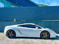 Lamborghini Gallardo V10 E-GEAR-LIFT-EINZELSTÜCK-DEUTSCH Blanc - thumbnail 7