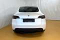 Tesla Model Y Dual Maximale Reichweite Dual AWD Weiß - thumbnail 11