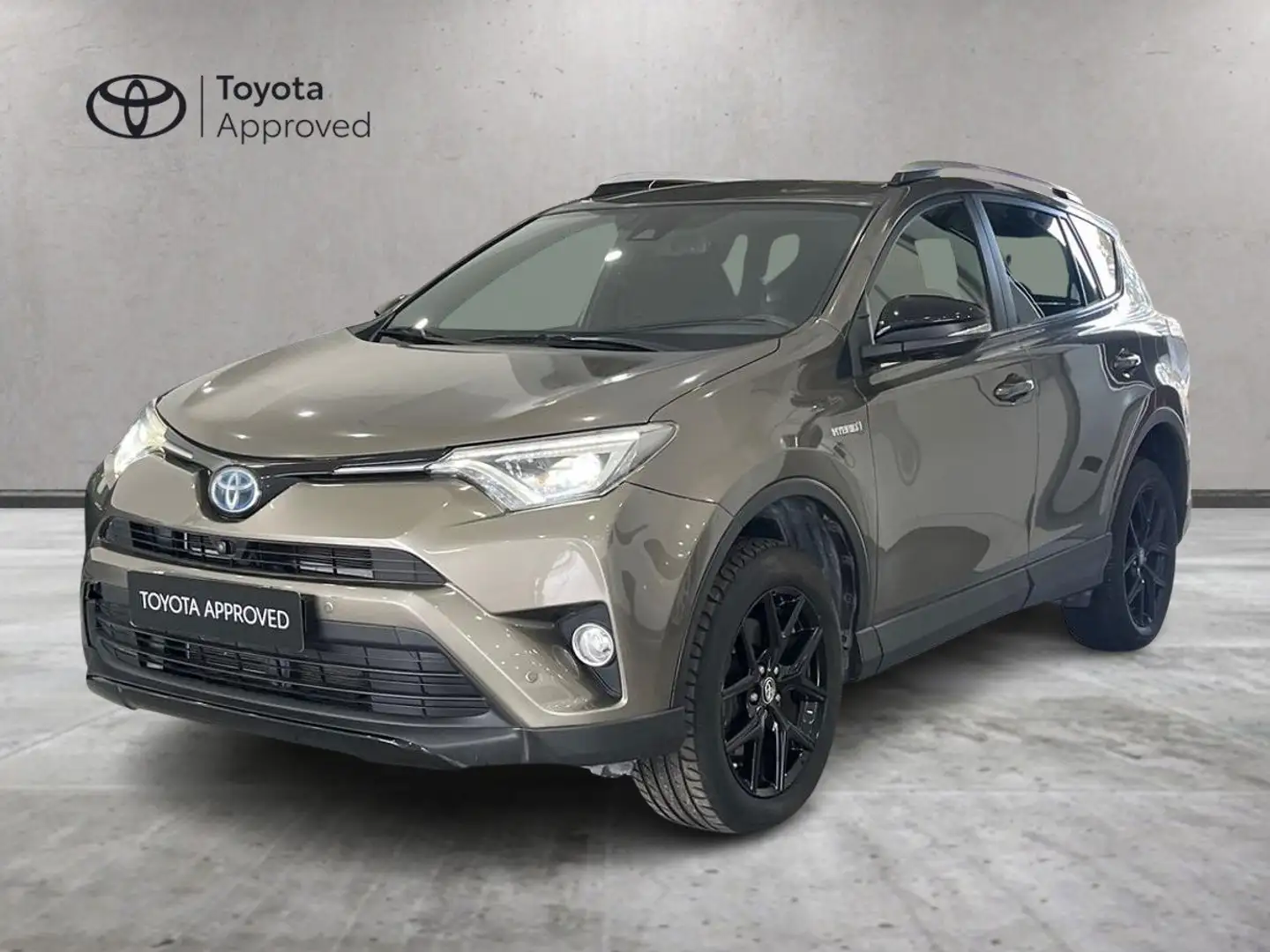 Toyota RAV 4 Rav4 2.5 vvt-i h Dynamic+ 2wd e-cvt Bronze - 1