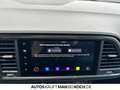 CUPRA Ateca 1.5 TSI DSG PDC ACC LED KESSY AHK DAB Navi Gris - thumbnail 26