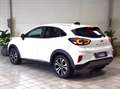 Ford Puma 1.0 ecoboost h Titanium 125cv Bianco - thumbnail 7