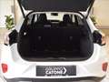 Ford Puma 1.0 ecoboost h Titanium 125cv Bianco - thumbnail 9